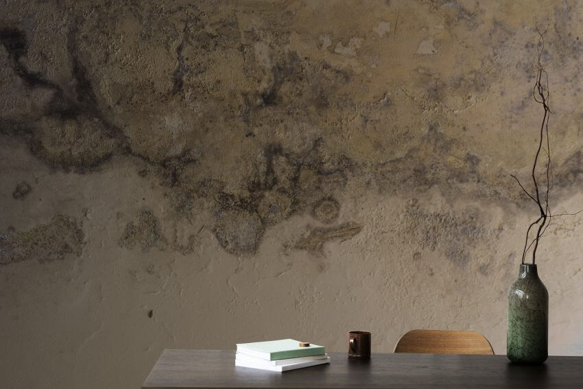 Anti Bacterial & Anti Fungal Wall Coating